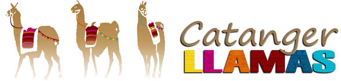 Catanger.header_logo