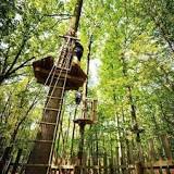 Go Ape.download