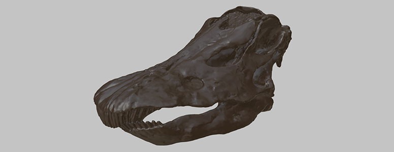 Tring.dippy-3d-skull-hti-double.jpg.thumb.960.960
