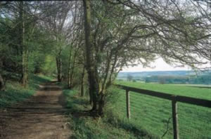 Ridgeway