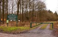 Bernwood.download