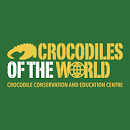 LC.Crocodilesdownload