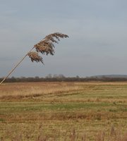 Otmoor.wide-open-spaces