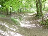 Bucks Walks.Ridgeway-cross-path_tmb