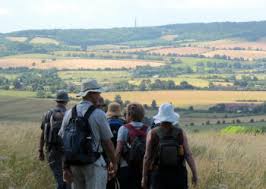 LC Walking Group