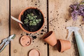 Oakley Gardening Club